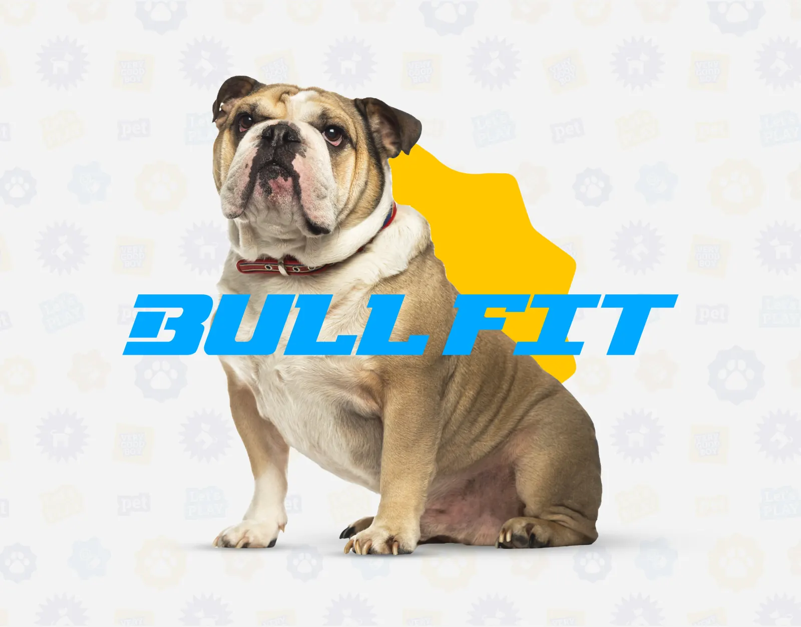 Bullfit